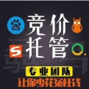sem搜索引擎競價(jià)托管