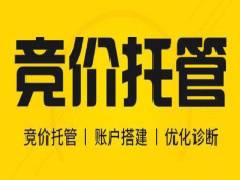 網(wǎng)絡(luò)競價(jià)推廣