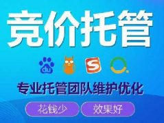 網(wǎng)絡(luò)競價(jià)推廣托管服務(wù)